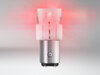 Bombillas de LED P21/5W Osram LEDriving® SL Rojas - BAY15d