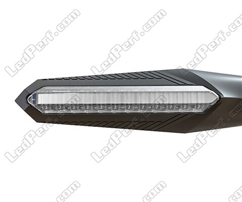 Vista delantera de los intermitentes LED dinámicos con luces diurnas para Aprilia Caponord 1000 ETV