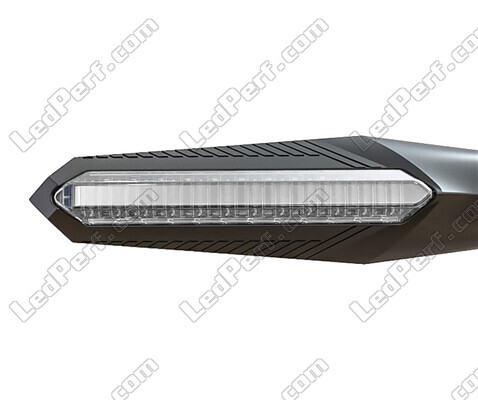 Vista frontal intermitentes LED dinámicos + luces de freno para Ducati Monster 1100