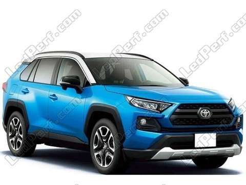 Coche Toyota Rav4 MK5 (2019 - 2024)