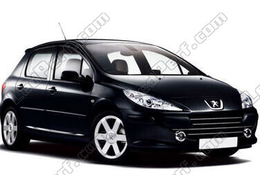 Coche Peugeot 307 (2005 - 2008)