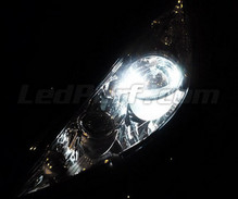 Pack luces de posición de LED (blanco xenón) para Peugeot 207