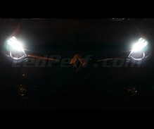Pack luces de posición de LED (blanco xenón) para Renault Clio 4